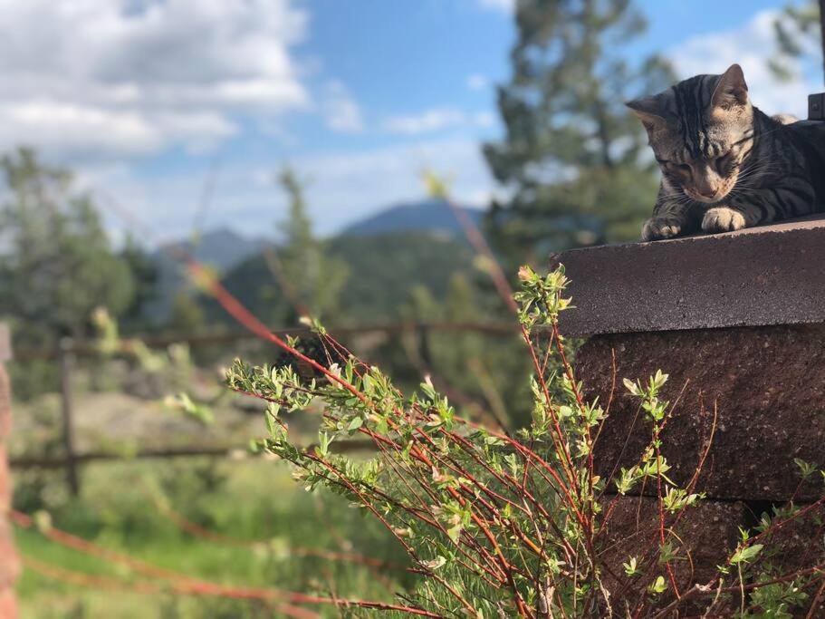 Boulder Best City And Nature With Lake And Trails Pets Ok Экстерьер фото